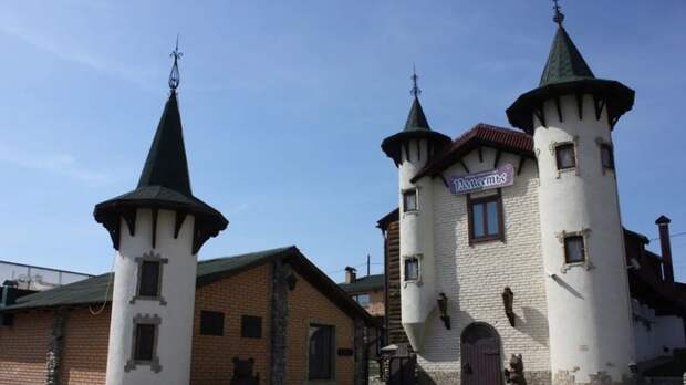 В Белокурихе продают "готический замок" с острыми башнями и ваннами из крови маралов