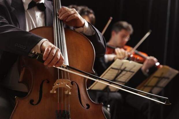 Интересные факты о музыке, Классическая музыка, виолончель