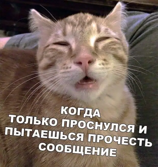 Ты же взрослый человек и знаешь, как надо решать проблемы. Свернись калачиком и плачь Ты же взрослый человек и знаешь, как надо решать проблемы. Свернись калачиком и плачь говорит, только, водочки, Мужик, купальник, молодости, могла, носить, такой, дедушкаКакто, какой, костюм, пожилой, писатель, задумчиво, спросил, внучки, восхищенно, купальный, рассматривает