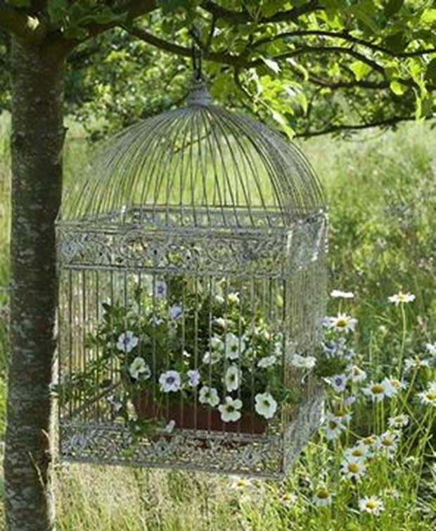 flowers-in-bird-cages-ideas1-2-6 (410x500, 232Kb)