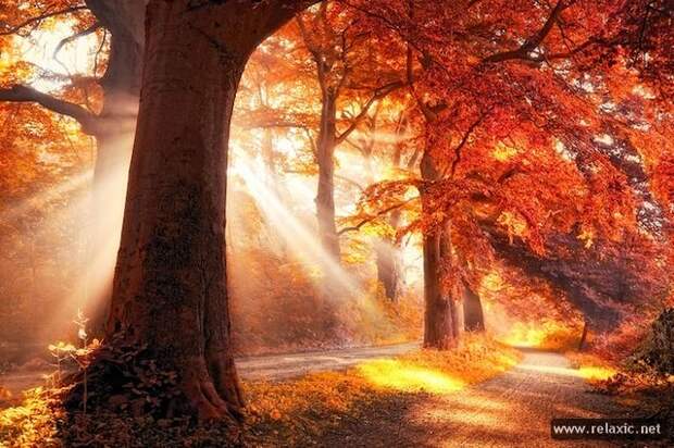 Sun_rays_015