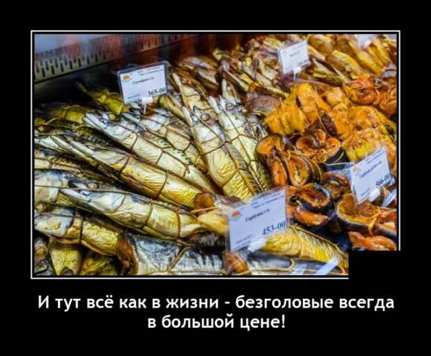 Демотиваторы 9 ноября 2021 года