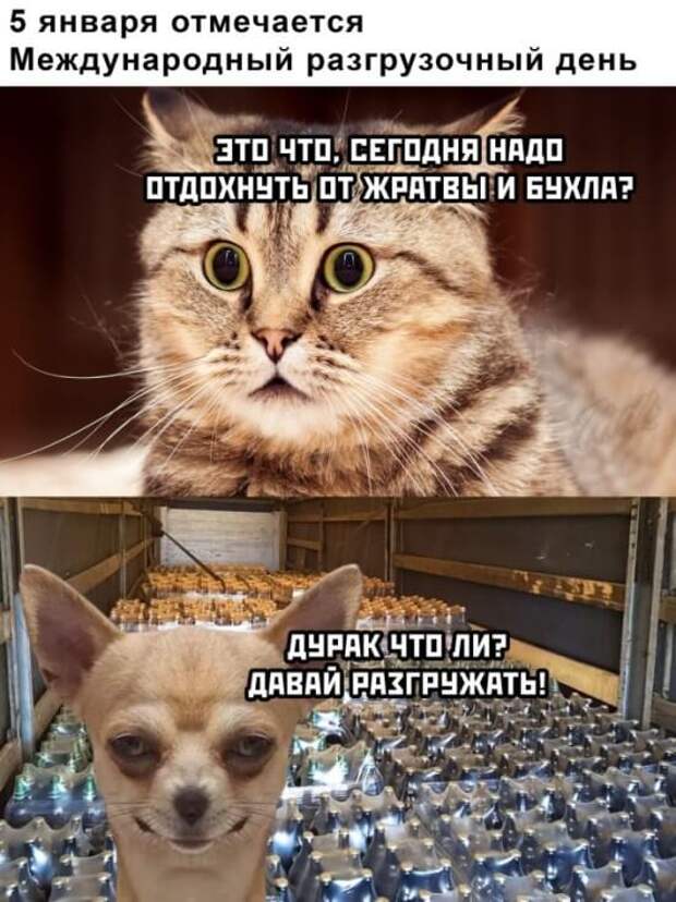 Смешные фото 5 января 2021