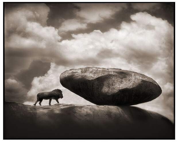 фотографии африки. Nick Brandt