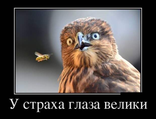 Летние демотиваторы - прикольные картинки Летние демотиваторы - прикольные картинки