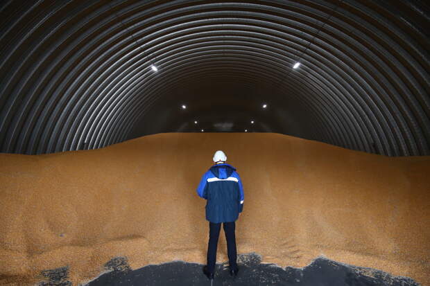 Названо число стран-покупателей российского зерна