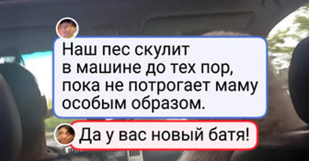 20 пушистых проказников, с которыми жизнь уже не будет прежней
