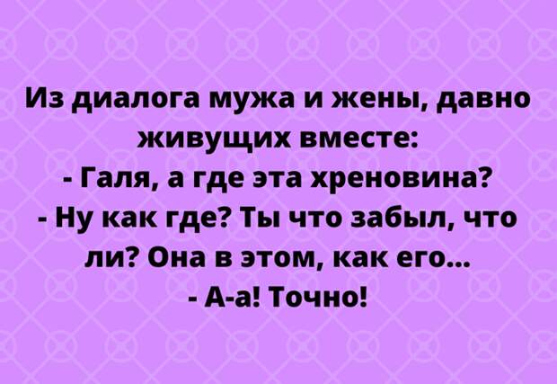 20 с небольшим уморительных анекдотов для хорошего настроения