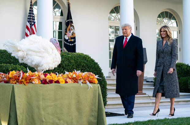 Мелания Трамп перекрасилась в блондинку