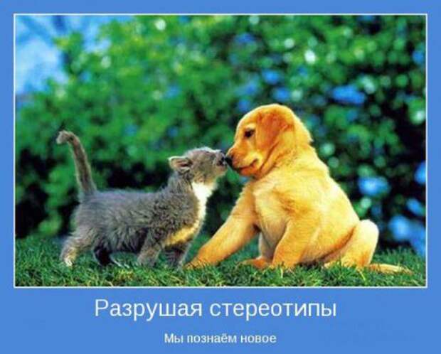 Мотиваторы к пятнице.