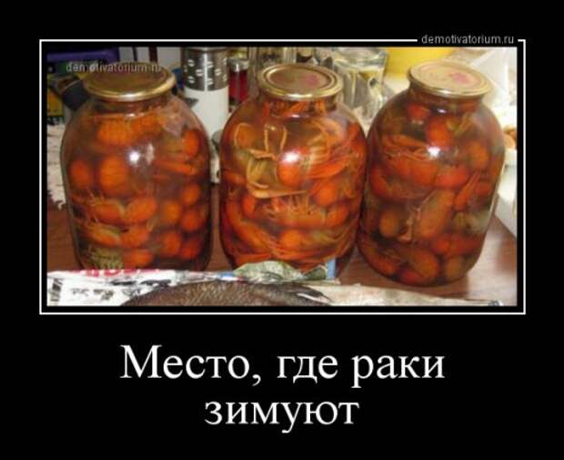 Новые прикольные демотиваторы (20 фото)