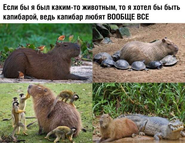 Подборка картинок. Дневной выпуск (25 фото)