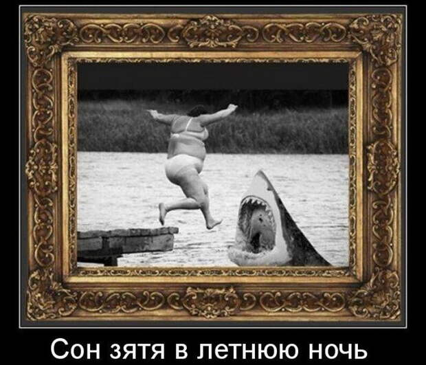 Котоматрицы (50 штук) Котоматрицы (50 штук)
