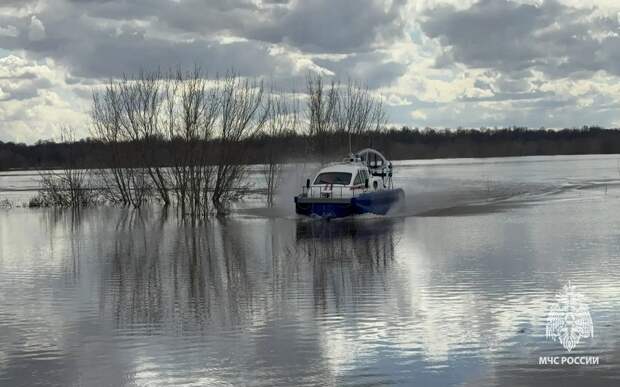 В Рязани уровень воды в Оке падает, в Касимове – растет