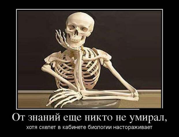 Демотиваторы (30 фото) Демотиваторы (30 фото)
