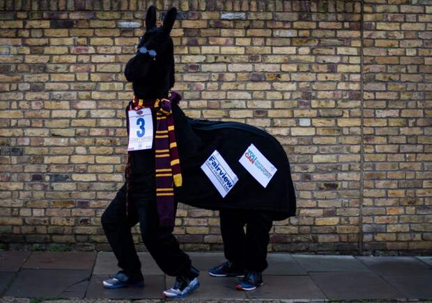 Веселая гонка лошадей London Pantomime Horse Race 2018