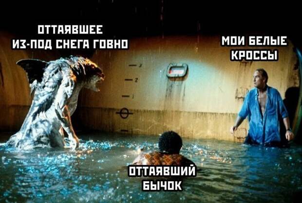 Смешные и познавательные картинки