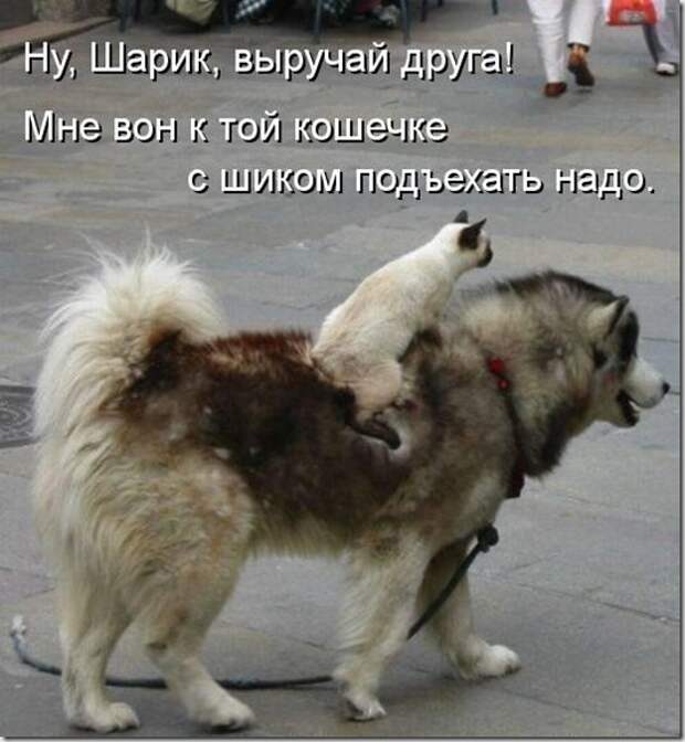 b37ab29dd85c45d7dd1d3f753f6