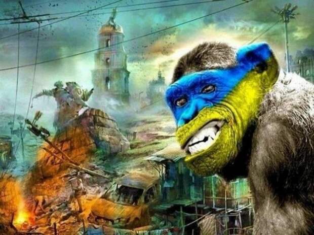 Майдан ломится в Европу и аборигены уже топчут пограничников
