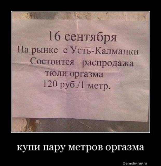 Новые демотиваторы, смешные фразы в картинках.