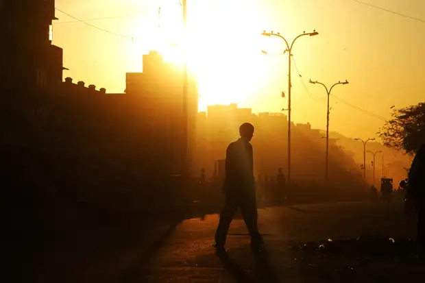 Ум и глупость: что предпочесть?