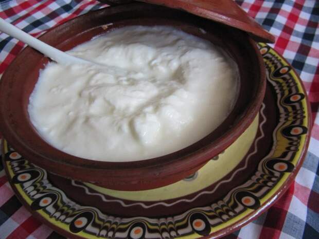 Вкусный йогурт: 7 преимуществ продукта для здоровья