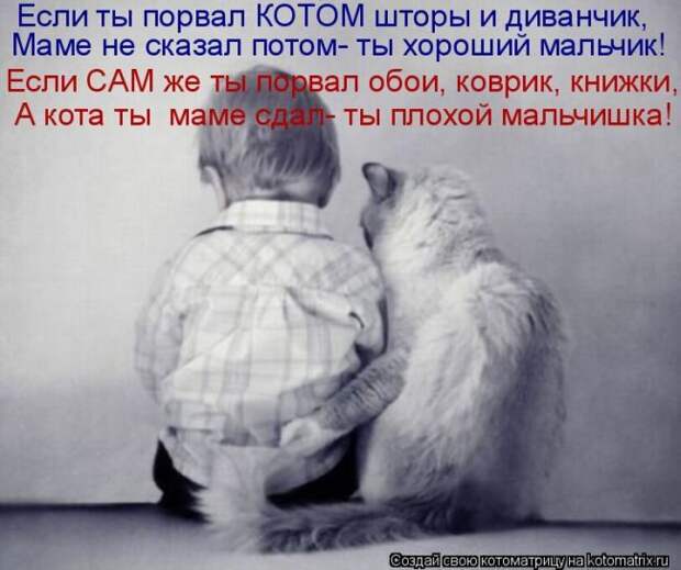 Лучшие котоматрицы недели
