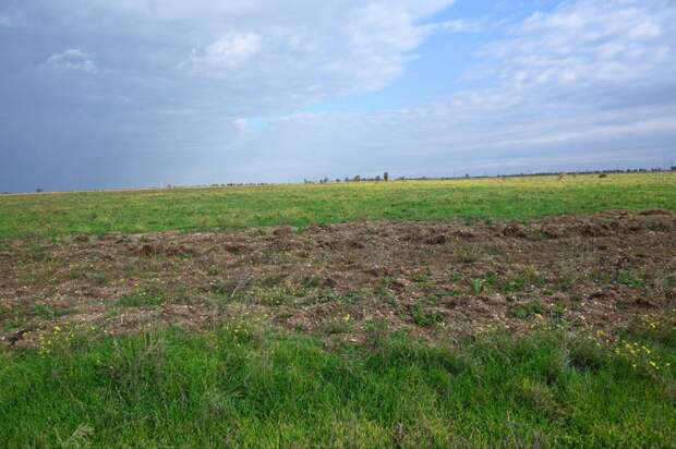 В Крыму выявлено 28 бесхозных земельных участков