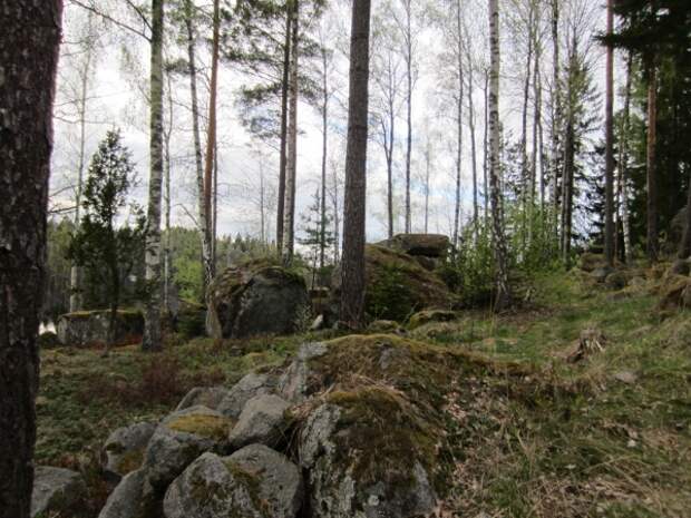 image sweden-fishing-0036-jpg