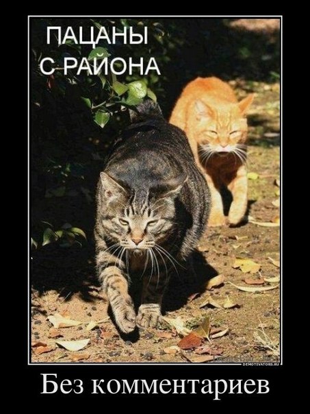 Всяко - разно 12 )))