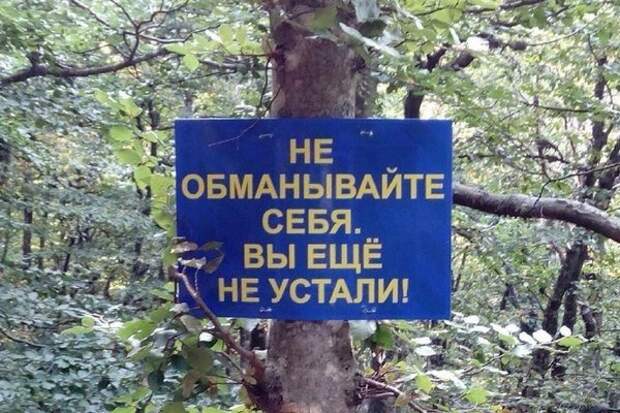 Мотивируйте себя правильно