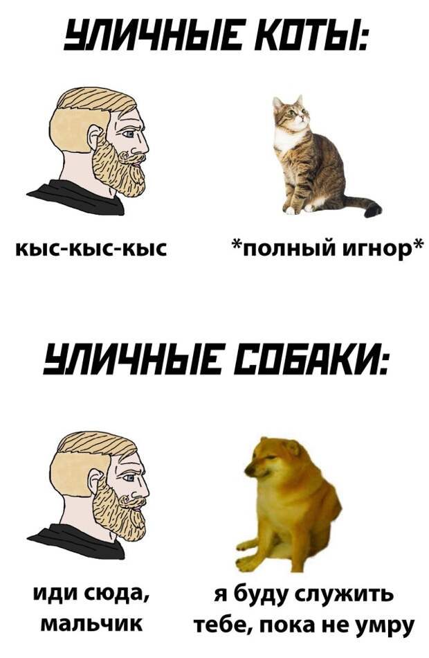 Смешные картинки 18 октября 2021 года