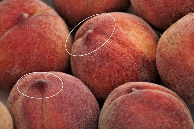 Почему персики «мальчики» слаще остальных и как их выбрать