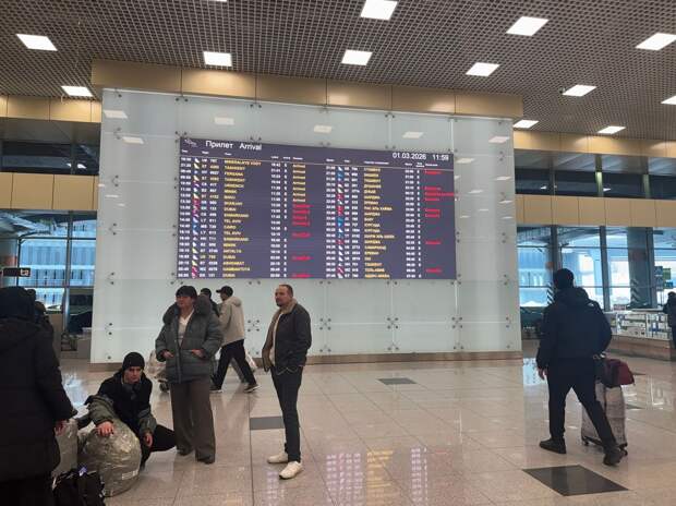 Минтранс: между Россией и странами Ближнего Востока отменили 109 авиарейсов