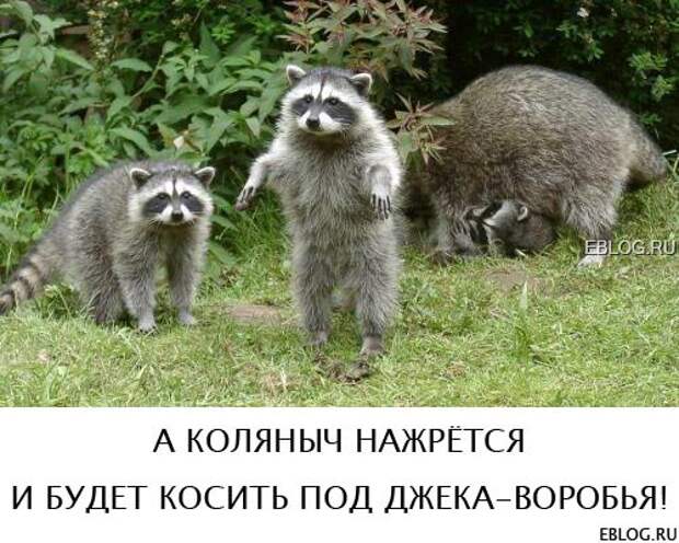 Пятничный позитив! Смотрим, заряжаемся на выходные! 20 прикольных картинок.