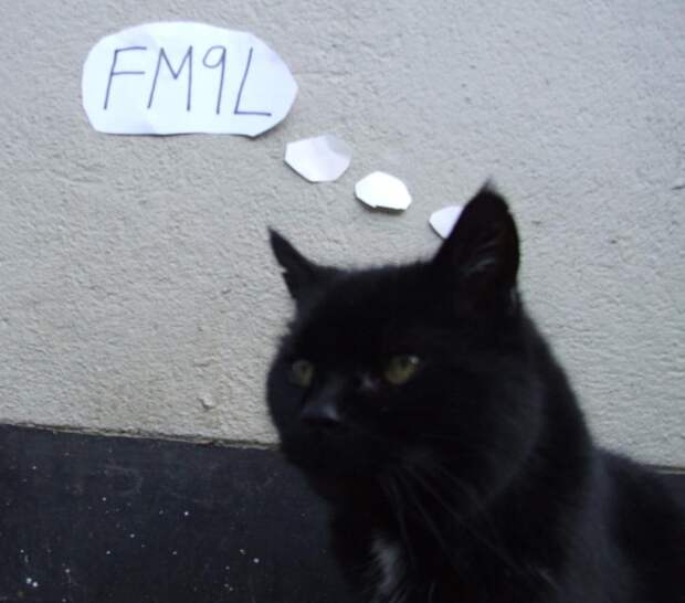 My cat is sad