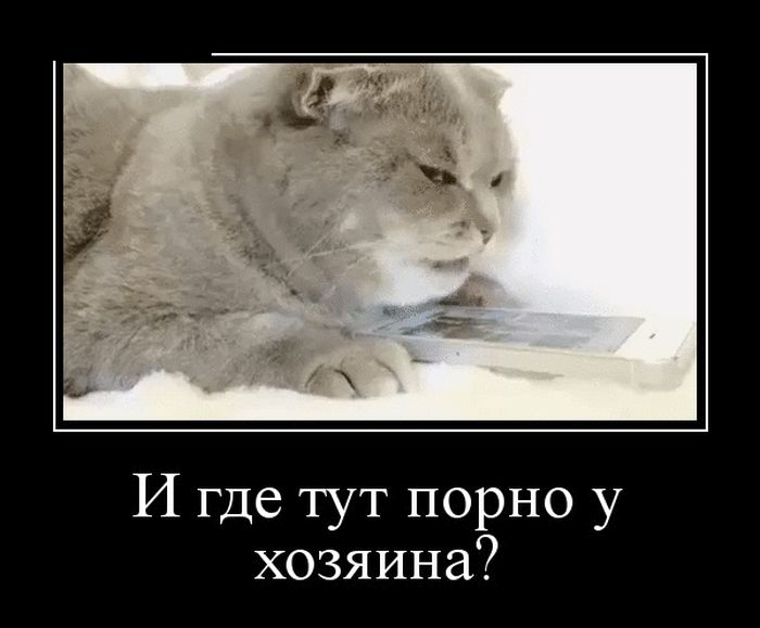 Демотиваторы (30 фото)
