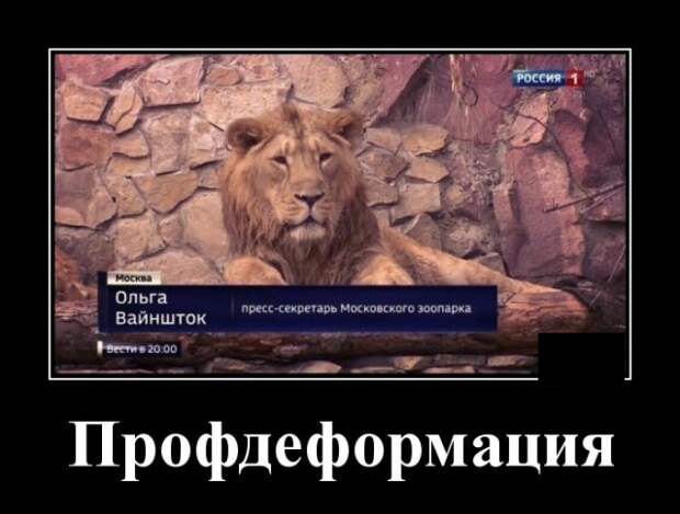 Демотиваторы (20 фото)