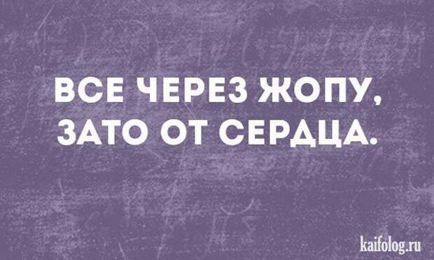 Смешные открытки (35 картинок)