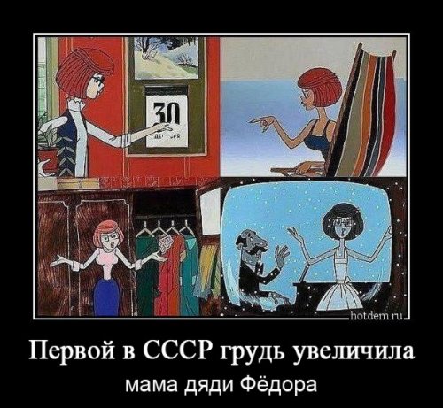 Прикольные демотиваторы (13 фото)