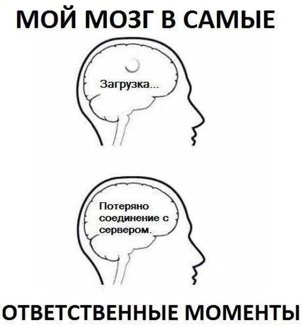 smeshnie_kartinki_141346791038 (461x498, 88Kb)