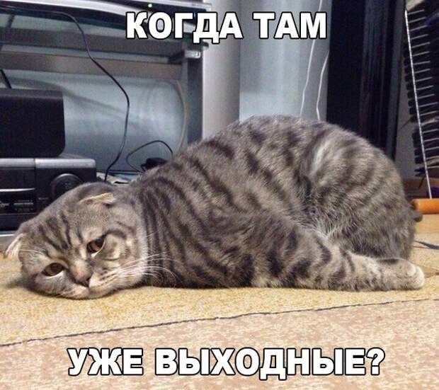 9Iz87R7uCPY