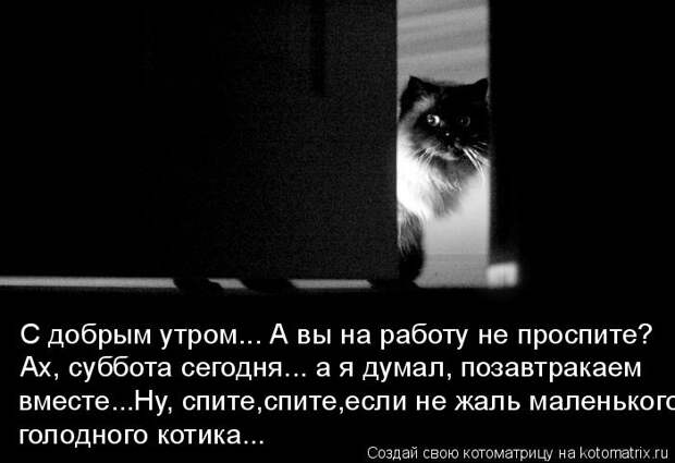 С добрым утром... А вы на работу не проспите? Ах, суббота сегодня... а