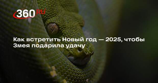 Эксперт Шмелев рассказал, как украсить дом и что надеть в новогоднюю ночь