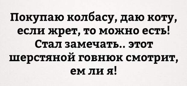 Приколы и прикольные картинки Подборка прикольных фото, подборка приколов, приколы, прикольное фото, прикольные картинки