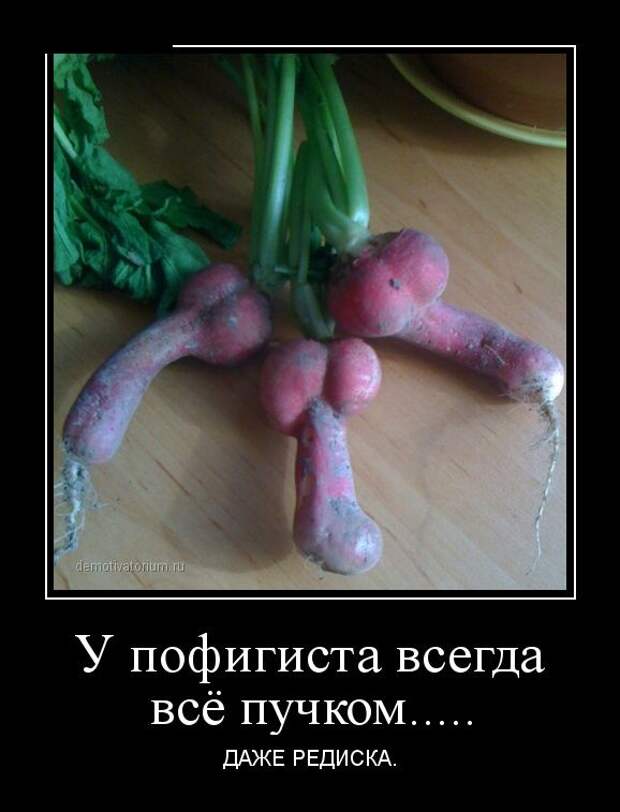 Демотиваторы бревно, демотиваторы, юмор