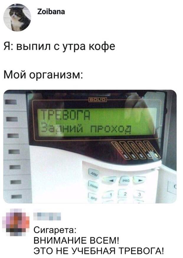 kartinok-prikolnyh-podborka-kartinki-smeshnye-kartinki-fotoprikoly