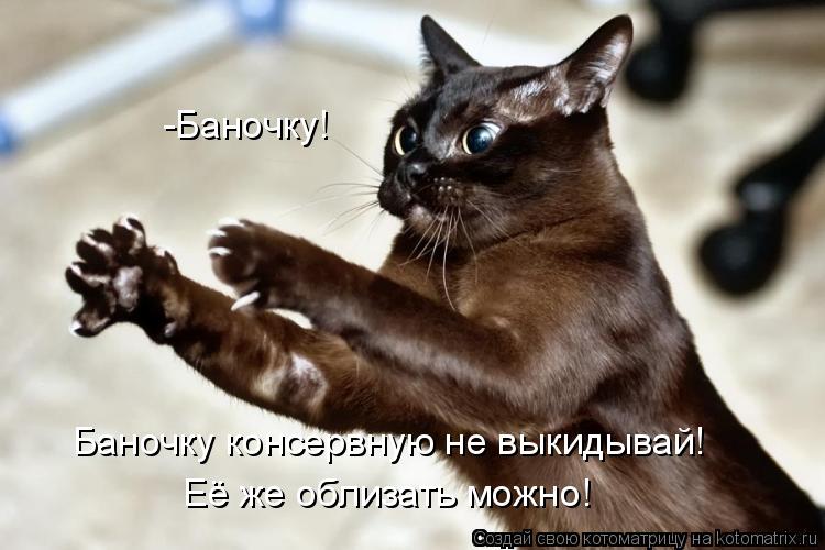 Котоматрица: Её же облизать можно! Баночку консервную не выкидывай! -Баночку!