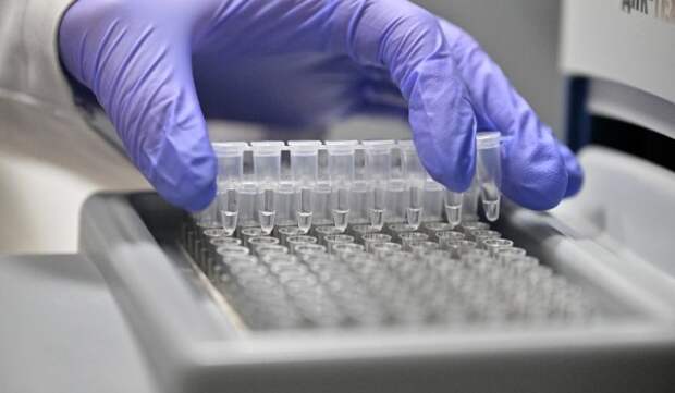 Физики МГУ усилили люминесценцию органических комплексов с европием