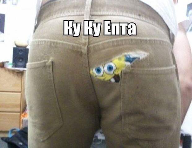 Смешные картинки с подписями